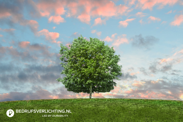 De duurzaamheid van LED-verlichting